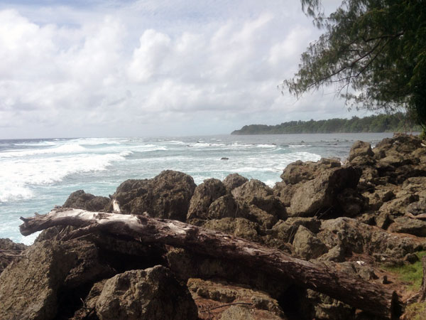 Vinaora Nivo Slider 3.x